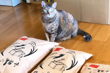 三匹の猫米/動物保護に携われる/特別栽培米 10kg