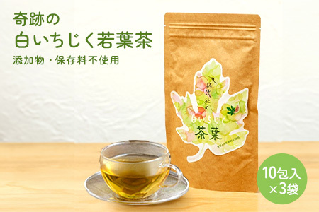 白いちじく茶（３袋）/農薬・化学肥料不使用/ファーストフラッシュ																																 																																			