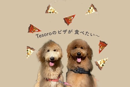 【Tesoro】わんこ用／お肉でできピザ　カボチャソース（お肉屋さんが作る犬ご飯）