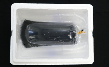 《当店作出品種》 彩鱗めだか ＜翁＞ めだか メダカ 飼育 ペット 鑑賞 魚 動物 生き物 関東  F5K-080