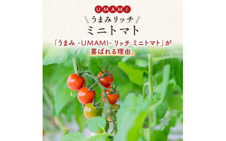 ＜特別栽培農産物＞ファームサイドのこだわりミニトマト 1.5kg 野菜 トマト ミニトマト 特別栽培 農産物 サラダ 生食 ピクルス 炒め物 食品 本庄産 関東 F5K-510