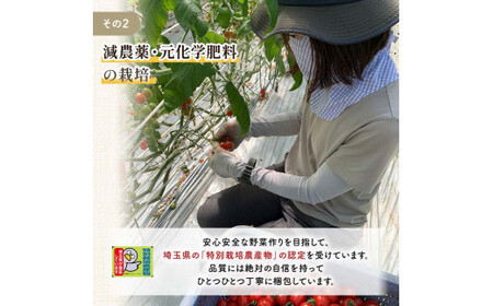 ＜特別栽培農産物＞ファームサイドのこだわりミニトマト 1.5kg 野菜 トマト ミニトマト 特別栽培 農産物 サラダ 生食 ピクルス 炒め物 食品 本庄産 関東 F5K-510