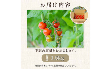 ＜特別栽培農産物＞ファームサイドのこだわりミニトマト 1.5kg 野菜 トマト ミニトマト 特別栽培 農産物 サラダ 生食 ピクルス 炒め物 食品 本庄産 関東 F5K-510
