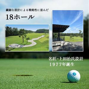 こだまゴルフクラブ ゴルフ場利用券 9000円券 ゴルフ チケット 平日 土日 祝日 関東 埼玉県 本庄市 首都圏 F5K-503