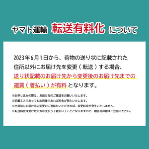 ＜先行予約＞ あまりん 特別厳選　まなこころ・彩（210g【6粒】） | ｲﾁｺﾞ いちご 苺 いちご ｲﾁｺﾞ 埼玉県 ｲﾁｺﾞ 果物 いちご 東松山市 旬 いちご