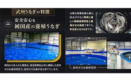 うなぎ 国産うなぎ蒲焼 3尾 冷凍真空パック 約450g | うなぎ うなぎ うなぎ うなぎ うなぎ