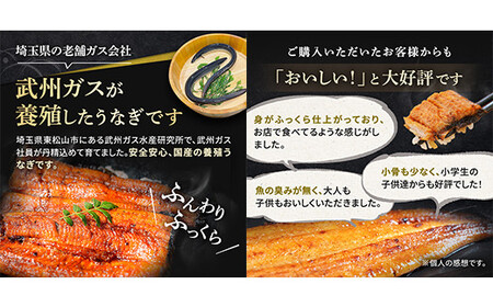 武州うなぎ 国産うなぎ蒲焼 5尾 大サイズ 冷凍真空パック（約750g） | うなぎ うなぎ うなぎ うなぎ うなぎ