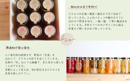 季節野菜のピクルス 5本詰め合わせ | ピクルス 野菜