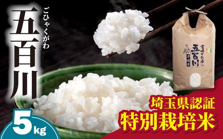 令和6年産 五百川 5kg (ごひゃくがわ) | 白米 ライス 米 こめ 5