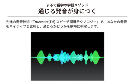 語学学習ツール ロゼッタストーン 英語(アメリカ) 6製品セット カード版 | パソコン パソコン 東松山市