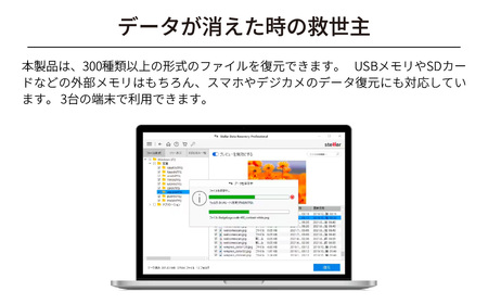 データ復元ソフト 救出データ復元 12 STANDARD カード版 | パソコンソフト