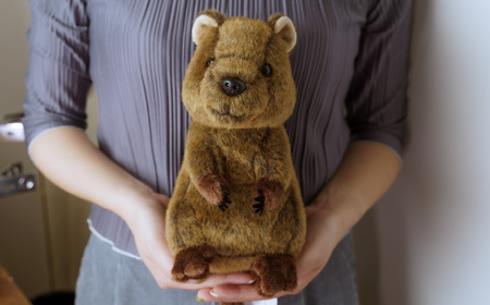 ぬいぐるみ クオッカ | ぬいぐるみ