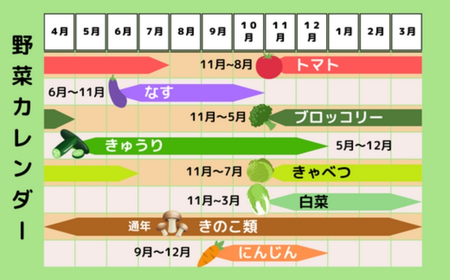 野菜 季節の詰合せセット 7~10品 | 野菜 詰合せ