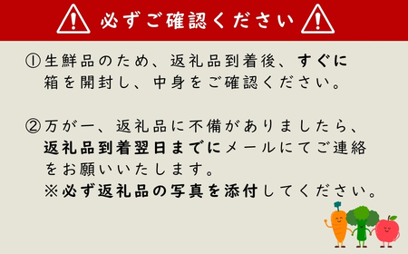 季節の野菜&市内産加工品 詰め合せセット | 野菜