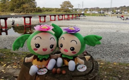 東松山市キャラクター　まっくん・あゆみんぬいぐるみセット 【 ゆるキャラ ぬいぐるみ 東松山 】