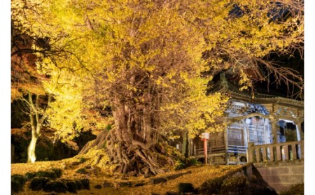 体験チケット 岩殿観音正法寺 写経体験 2名様 | チケット 写経
