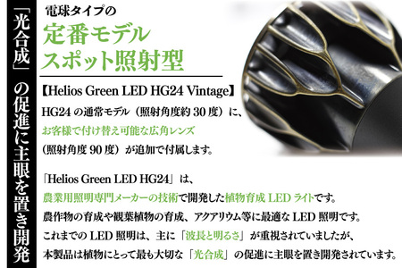 BN043　植物育成ライト「ヘリオスグリーンLED（Vintage）」