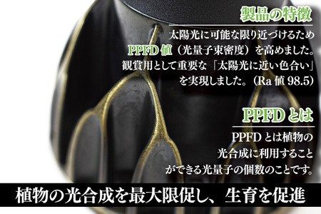 BN044 植物育成ライト「ヘリオスグリーンLED(Vintage)」2個セット