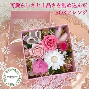 プリザーブドフラワー フラフィ 春日部市 シュガーパイン(AJ239)