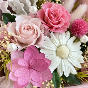 プリザーブドフラワー フラフィ 春日部市 シュガーパイン(AJ239)