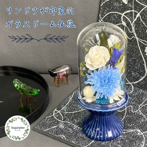 プリザーブドフラワー 藍(らん) 春日部市 シュガーパイン(AJ240)