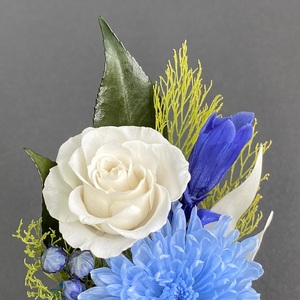 プリザーブドフラワー 藍(らん) 春日部市 シュガーパイン(AJ240)