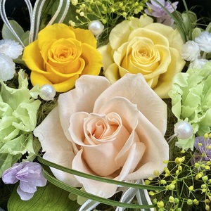 プリザーブドフラワー レンツ 春日部市 シュガーパイン(AJ241)