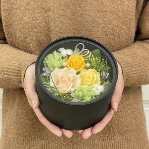 プリザーブドフラワー レンツ 春日部市 シュガーパイン(AJ241)