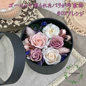 プリザーブドフラワー ロゼッタ 春日部市 シュガーパイン(AJ242)