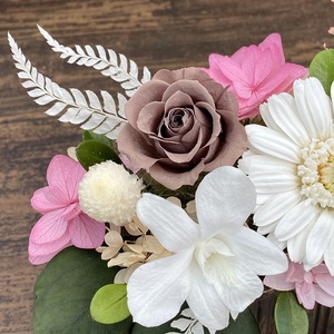 プリザーブドフラワー サシャ 春日部市 シュガーパイン(AJ244)