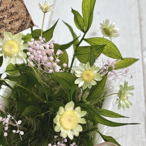 プリザーブドフラワー　ファム　ピンク　春日部市　シュガーパイン（AJ255）