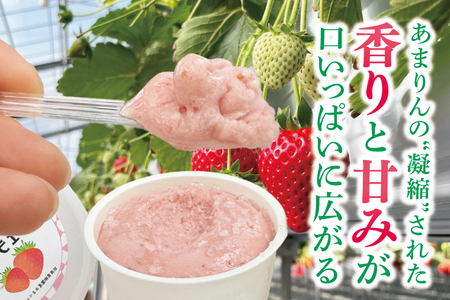 あまりんのジェラート　6個（CJ005）