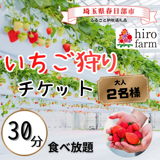 いちご狩りペアチケット【埼玉県春日部いちご狩りペア券農園体験バリアフリー】（DI009）
