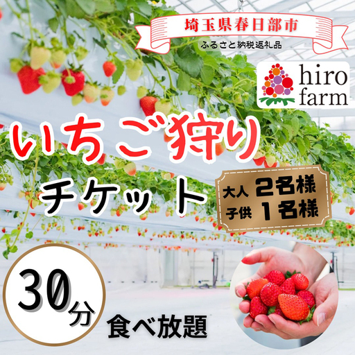 いちご狩り大人2名子供1名【埼玉県 春日部 いちご狩り 家族チケット 体験型 観光農園】（DI010）