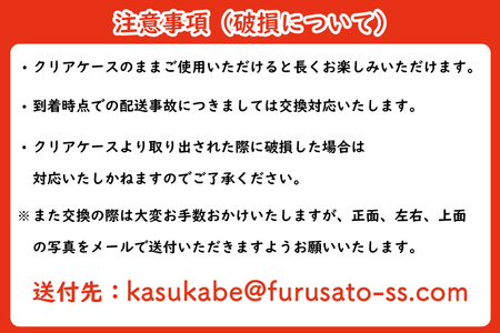 AJ121-1   プリザーブドフラワー　【パニエ】　春日部市シュガーパイン