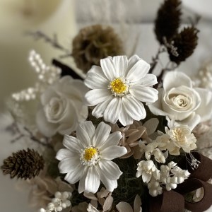 AJ122-1   プリザーブドフラワー【ブロン】春日部市シュガーパイン