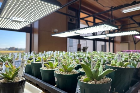 BN003-1　電球タイプのベストセラーモデル　植物育成ライト「ヘリオスグリーンLED（ブラック）」と害虫忌避剤「バリアグリーンオイルⅢ」の2点セット