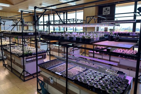 BN013-1 あらゆる植物・野菜・果樹に使用できる広角照射モデル 植物