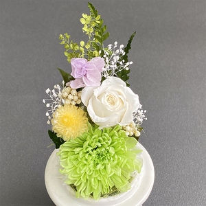 AJ125-1  プリザーブドフラワー　和花　緑　春日部市　シュガーパイン