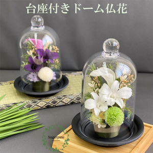 AJ138-2 プリザーブドフラワー 凛 白 春日部市 シュガーパイン 10,780円