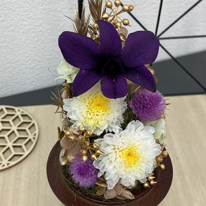 AJ164-1 プリザーブドフラワー【清華/こげ茶】春日部市 シュガーパイン