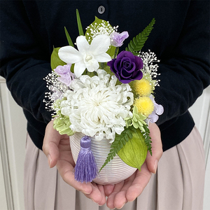 AJ166-2 プリザーブドフラワー 萌音（もね） 白  春日部市 シュガーパイン