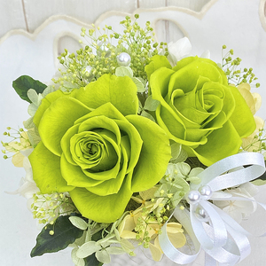 AJ179-2  プリザーブドフラワー【フローラ/ライトグリーン】春日部市 シュガーパイン