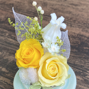 AJ181-1 プリザーブドフラワー　美羽　イエロー　春日部市 シュガーパイン