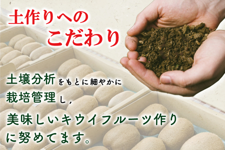 香緑21～27玉入り【春日部市】大晴農園のキウイフルーツ（BY002-1）