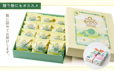 カステラ ケンキ 12個 | カステラ お菓子