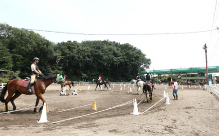 乗馬スクール ペア 1回コース | 乗馬体験