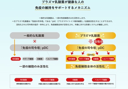 ヨーグルト 免疫ケア 甘さすっきり 400g×6個 | ヨーグルト