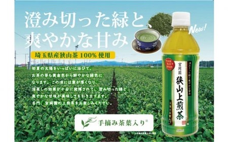 ペットボトル 狭山上煎茶 500ml | お茶
