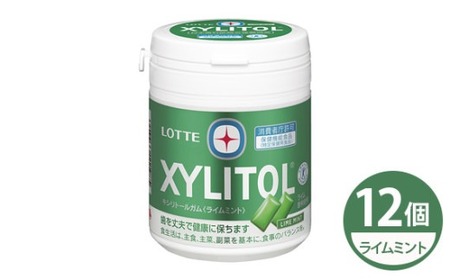 ロッテ キシリトールガム ライムボトル 12個 | ロッテ ガム